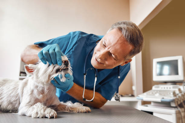 Best Emergency Treatment for Dental Infections or Abscesses in Lexington, OK